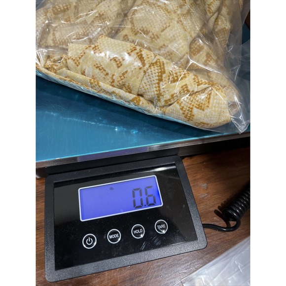 Faithful The Brand Pants Women Size 10 Wide Leg Pockets Snake Skin Yellow - Picture 15 of 15